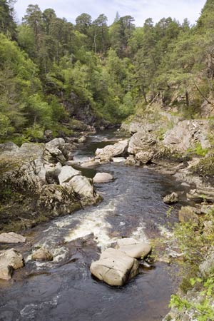 River Findhorn at Glenferness