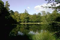 Lochan