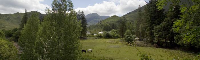 Shiel Lodge